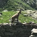 منزل للإقامة Bed & Breakfast Les Hauts De Vue Mer Et Montagne